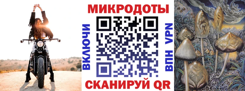купить наркоту  Вичуга  ссылка на мегу зеркало  Псилоцибиновые грибы Psilocybe 